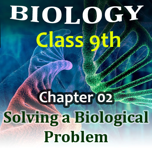 problem solving chapter 1 9th class